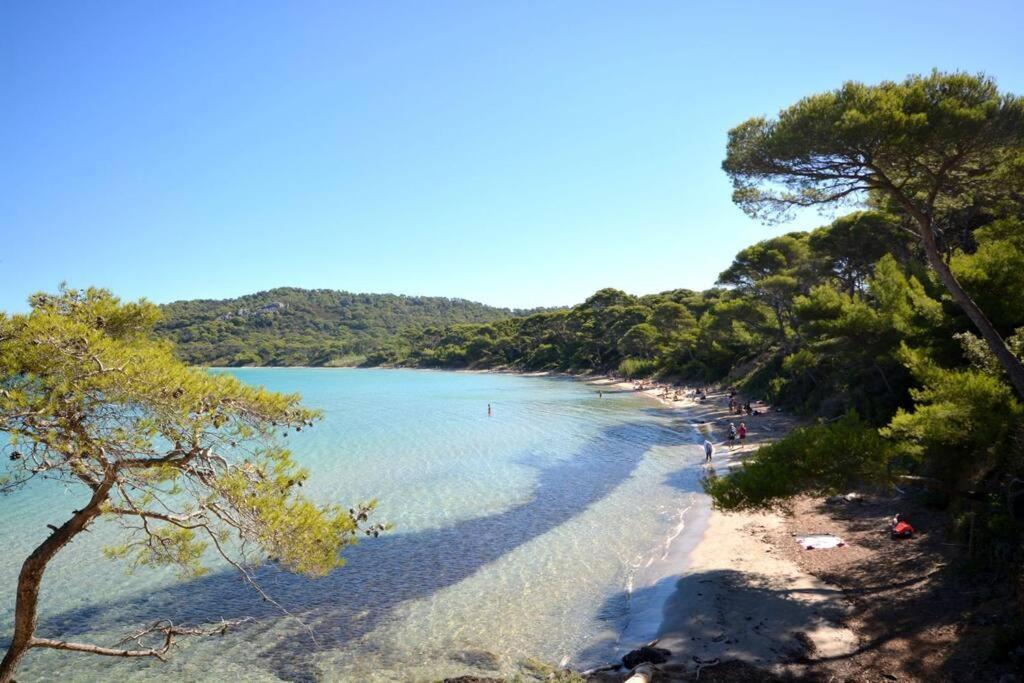 Studio Hyeres Port Et Iles D'Or. Екстериор снимка