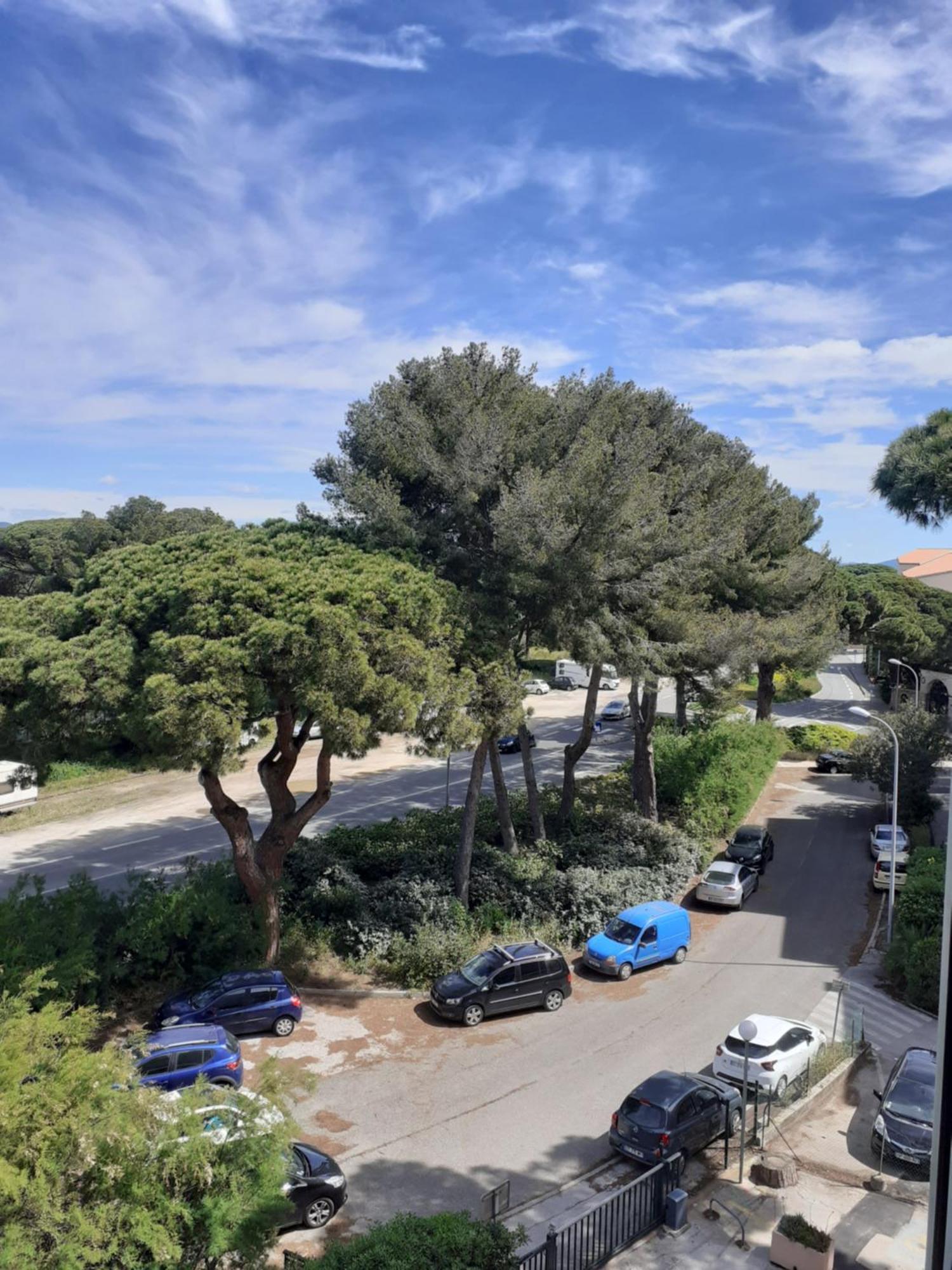 Studio Hyeres Port Et Iles D'Or. Екстериор снимка